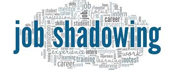 Job Shadowing 24-28 de novembro 2024